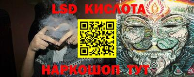 шишки Заволжье
