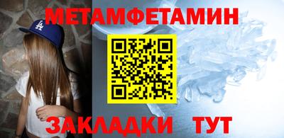 шишки Заволжье