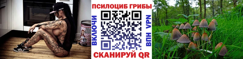 маркетплейс официальный сайт  Рубцовск  Галлюциногенные грибы GOLDEN TEACHER 