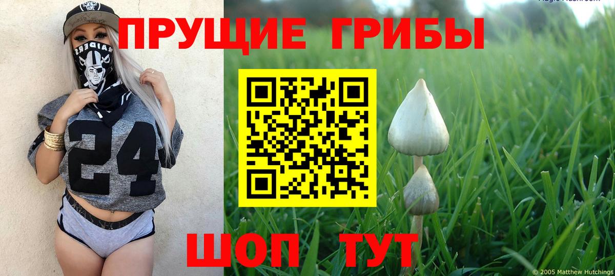 Галлюциногенные грибы ЛСД Рубцовск